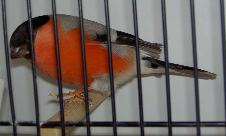 PICT2839 (Large).jpg