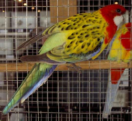 PICT2838 (Large).jpg