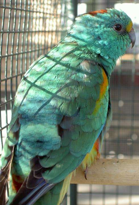 PICT2883 (Large).jpg