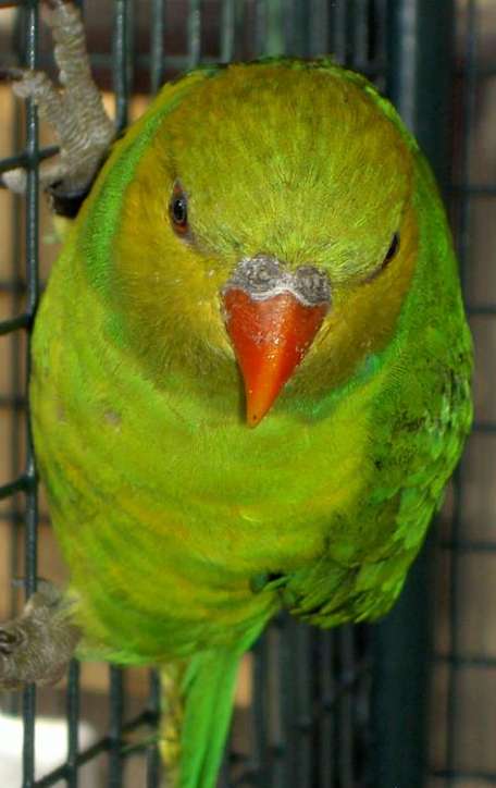 PICT2879 (Large).jpg