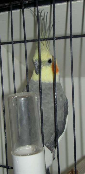 PICT2845 (Large).jpg