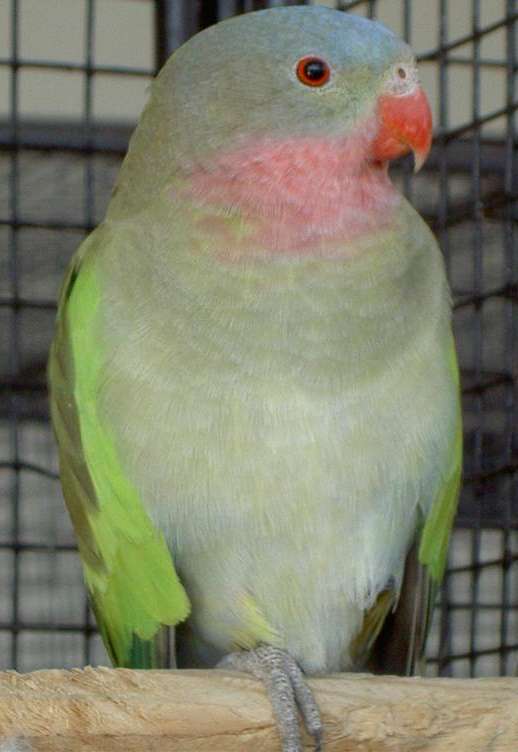 PICT2887 (Large).jpg