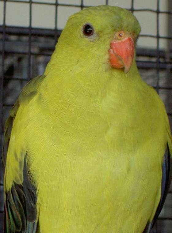 PICT2886 (Large).jpg