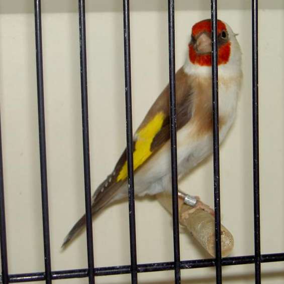 PICT2840 (Large).jpg