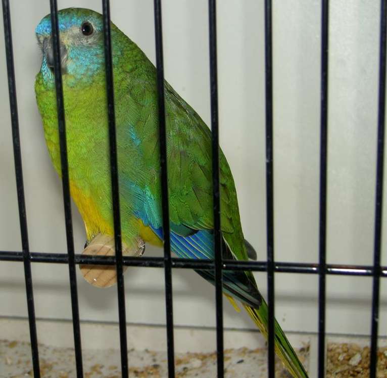 PICT2934 (Large).jpg