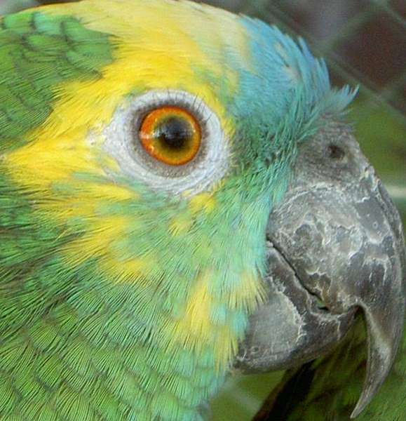 PICT2903 (Large).jpg