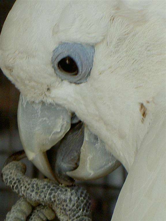 PICT2897 (Large).jpg