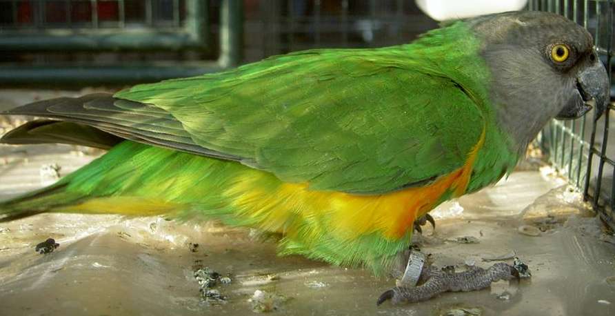 PICT2973 (Large).jpg