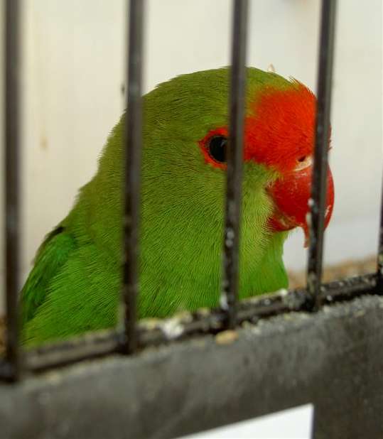 PICT2961 (Large).jpg