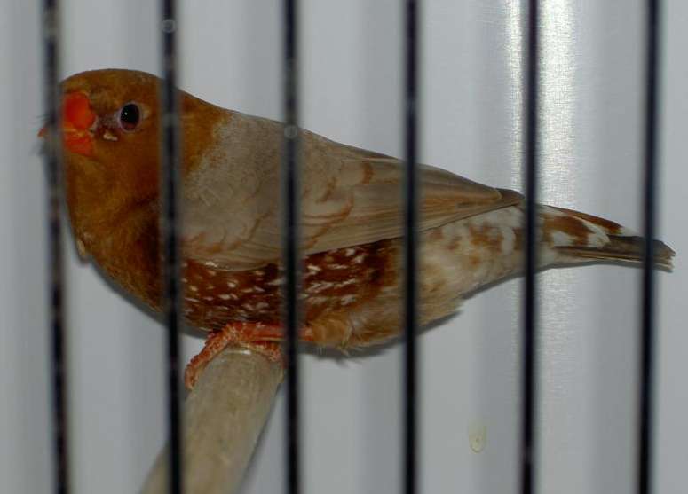 PICT2979 (Large).jpg