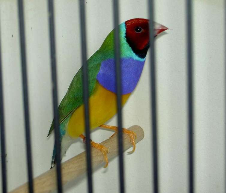 PICT2997 (Large).jpg