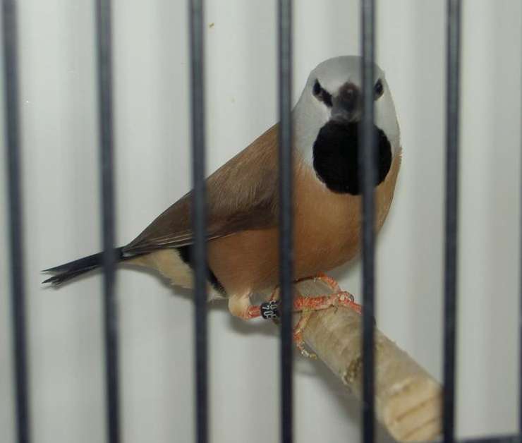 PICT2995 (Large).jpg