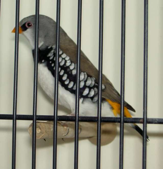 PICT2991 (Large).jpg