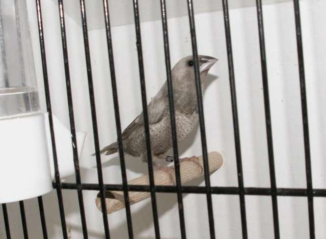 PICT0123 (Large).jpg