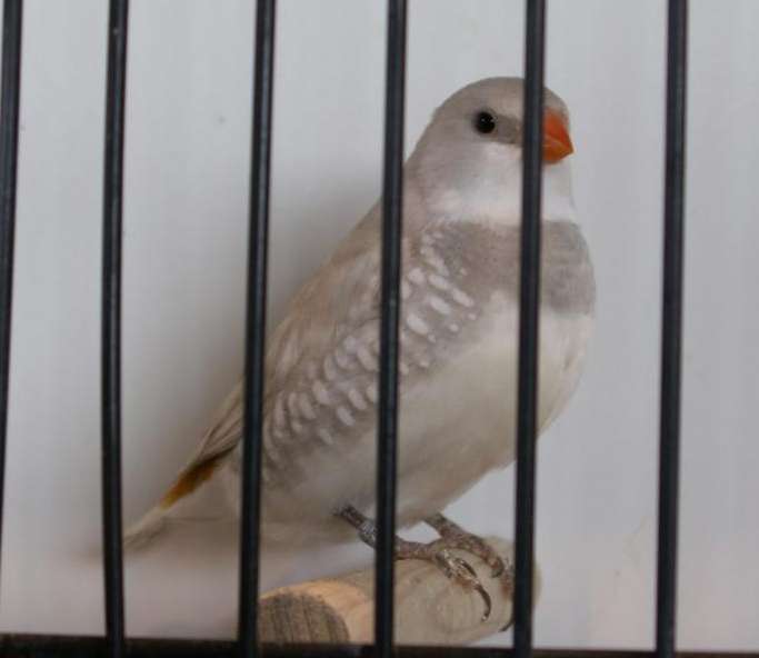 PICT0079 (Large).jpg