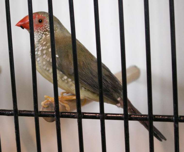 PICT0072 (Large).jpg