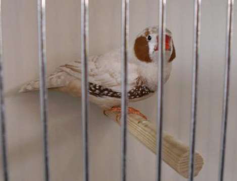 PICT0143 (Large).jpg