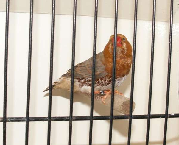 PICT0138 (Large).jpg