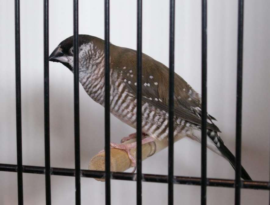 PICT0073 (Large).jpg