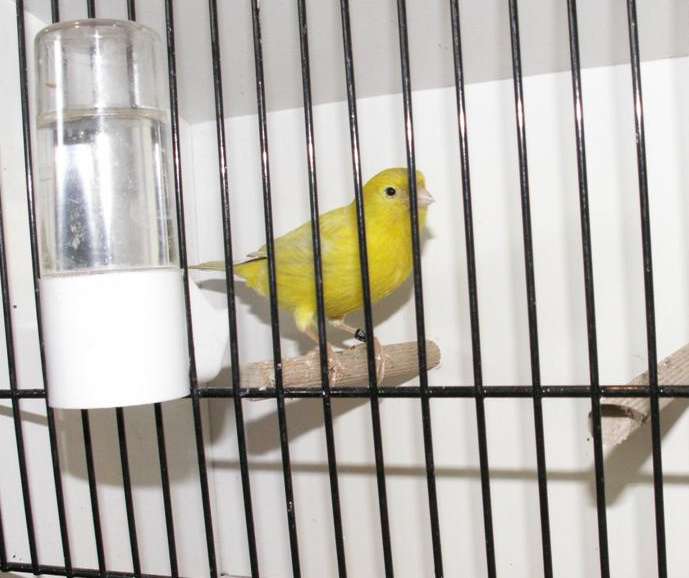 PICT0150 (Large).jpg