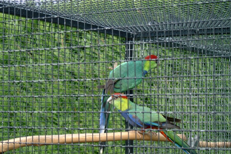 photo Giens 02C940 010.jpg