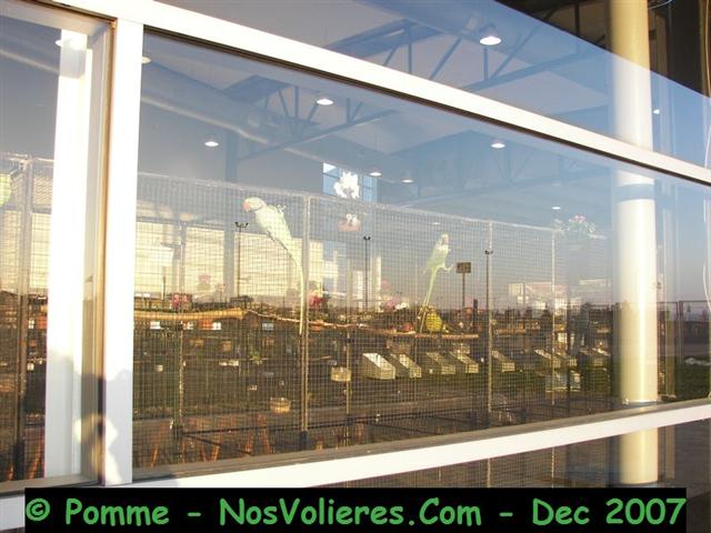 100_4947 (Small).JPG