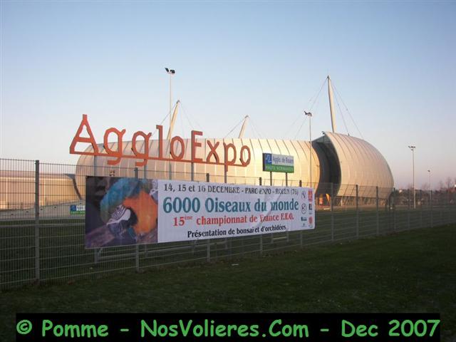 100_4943 (Small).JPG