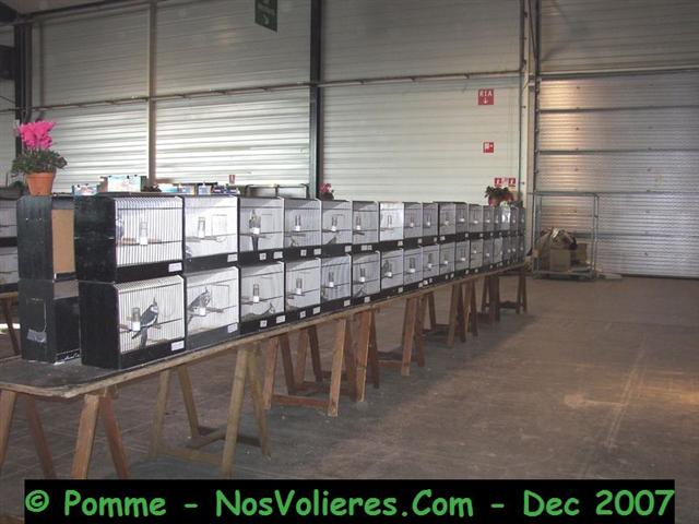 100_4678 (Small).JPG