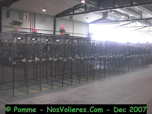 100_4677 (Small).JPG