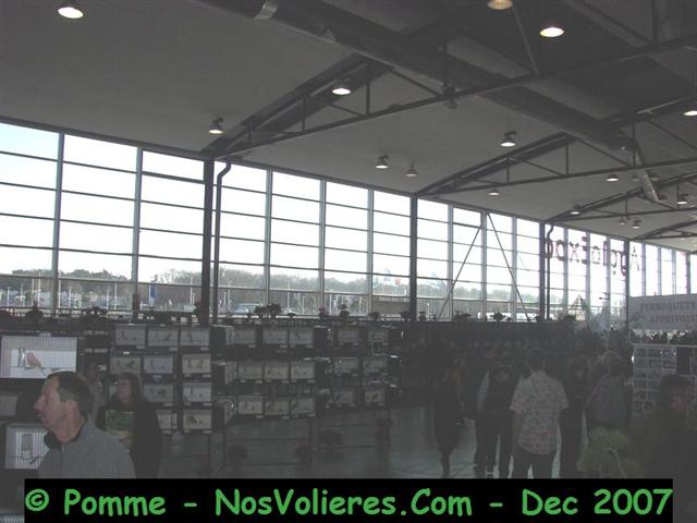 100_4676 (Small).JPG