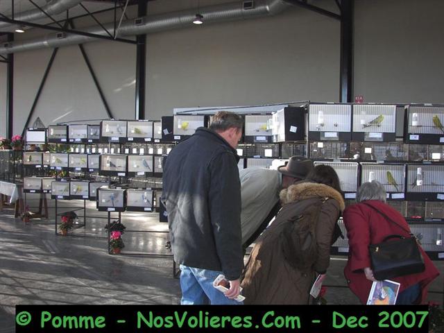 100_4538 (Small).JPG