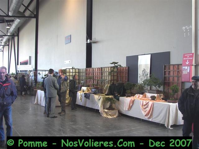 100_4737 (Small).JPG