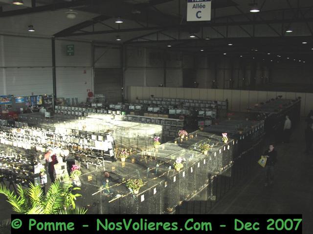 100_5024 (Small).JPG