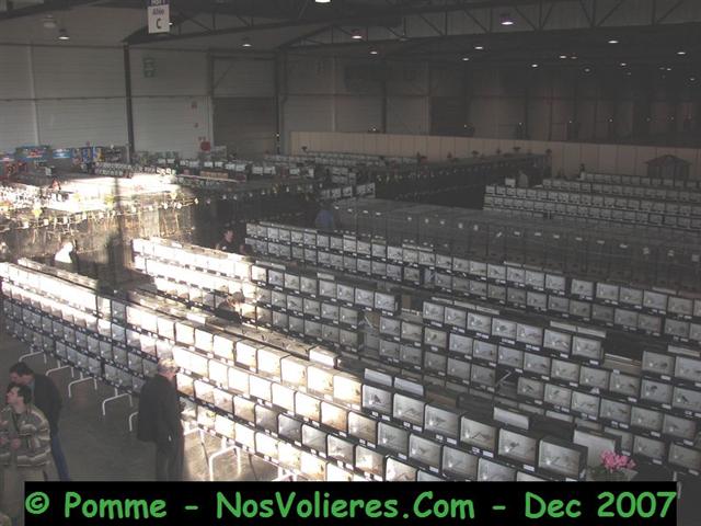 100_5023 (Small).JPG