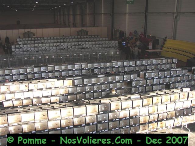 100_5017 (Small).JPG