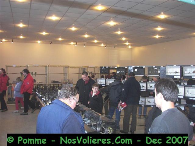 bourse 1 (Small).JPG