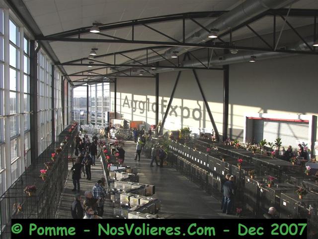 100_5022 (Small).JPG