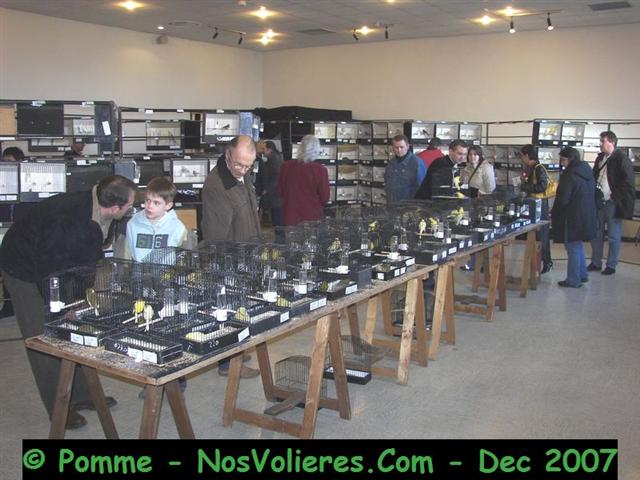 100_4745 (Small).JPG