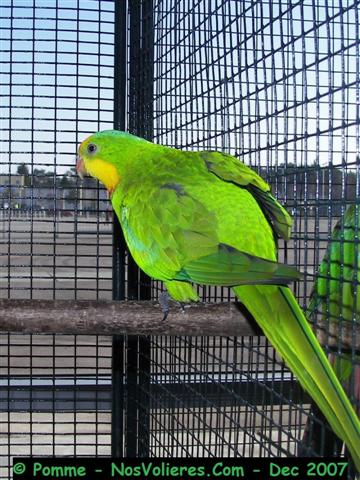 barraband M 92 pts (Small).JPG