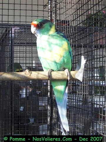 barnard 92 pts (Small).JPG