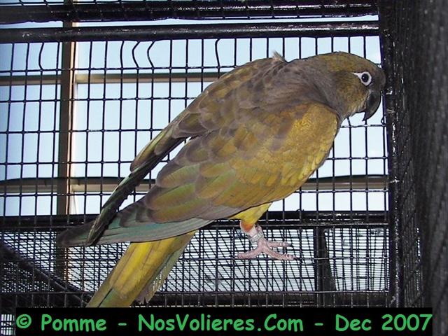 patagonie 92 pts (Small).JPG