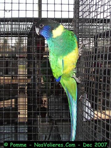 port lincoln 92 pts (Small).JPG