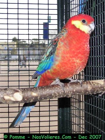 stanley 93 pts (Small).JPG