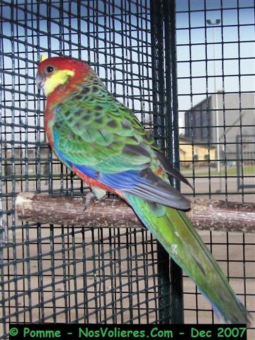 stanley 92 pts (Small).JPG