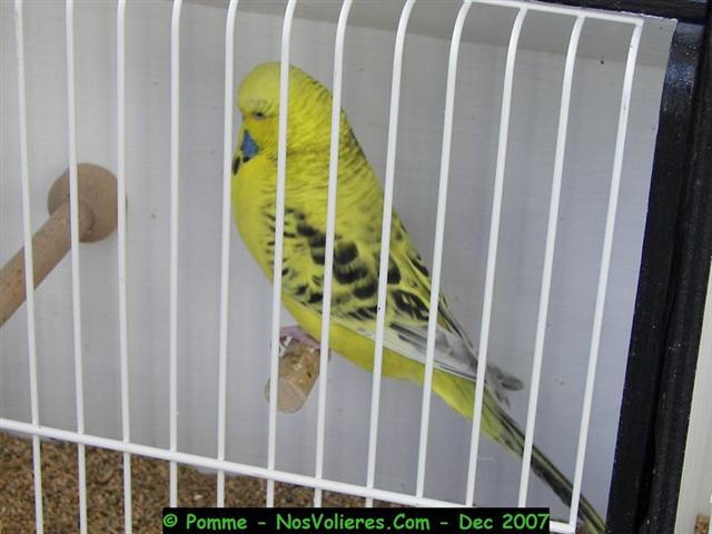 100_4527 (Small).JPG