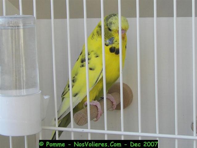 100_4526 (Small).JPG