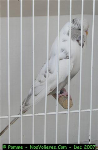 100_4525 (Small).JPG