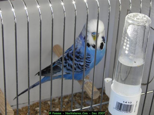 100_4531 (Small).JPG