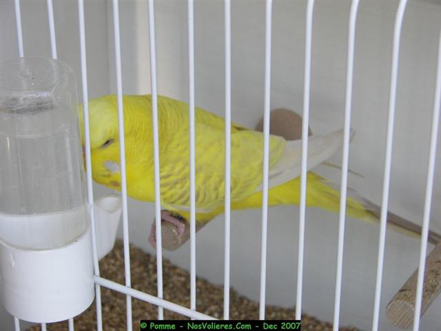 100_4530 (Small).JPG