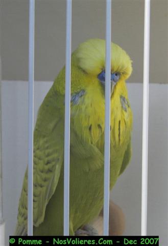 100_4528 (Small).JPG